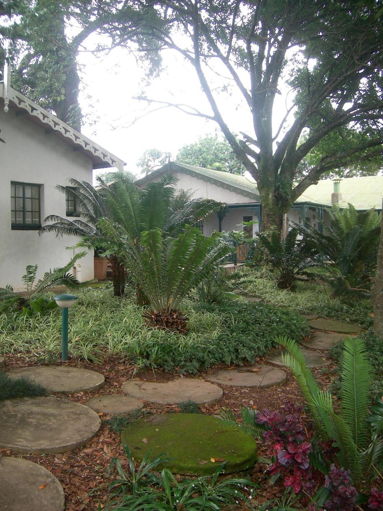 Sherwood'S Country House Guest House Tzaneen Eksteriør bilde